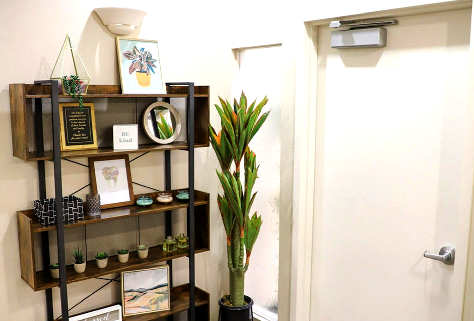 Dental office Decoration with in house plants  in Chandler, AZ